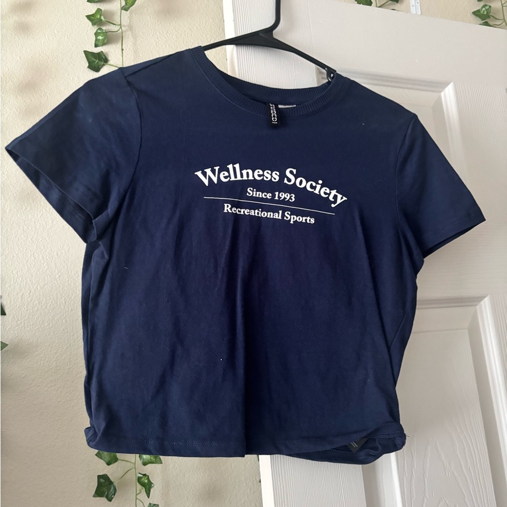 H&M Blue and White Graphic Crop T-Shirt